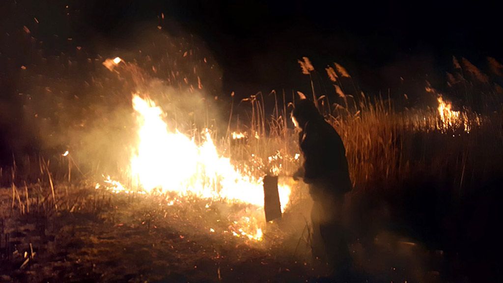 У Полтавському районі горів очерет