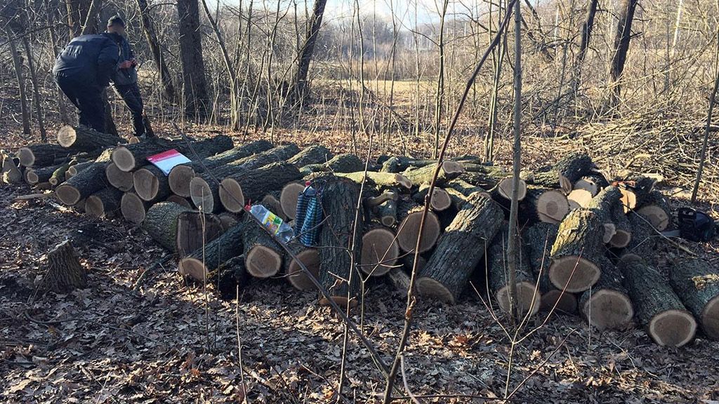 У Кобеляцькому районі затримали чоловіка, який незаконнно пиляв дерева