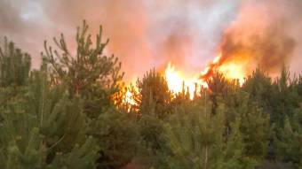 За минулу добу вогнеборці ліквідували 21 пожежу на відкритій території та 1 лісову пожежу