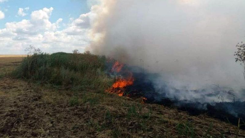 Частину Кобеляцького району охопила пожежа