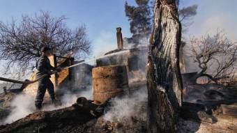 Пожежа, яку гасили  більше 100 чоловік