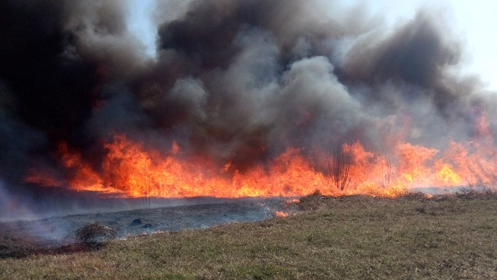 За минулу добу вогнеборці ліквідували 30 пожеж на відкритій території та 1 лісову пожежу