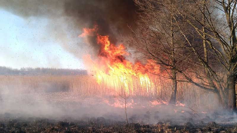 Кількість пожеж цього року на Полтавщині зросла вдвічі