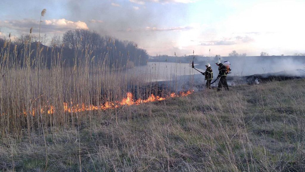 Вогнеборці ліквідували 11 пожеж на відкритій території за минулу добу