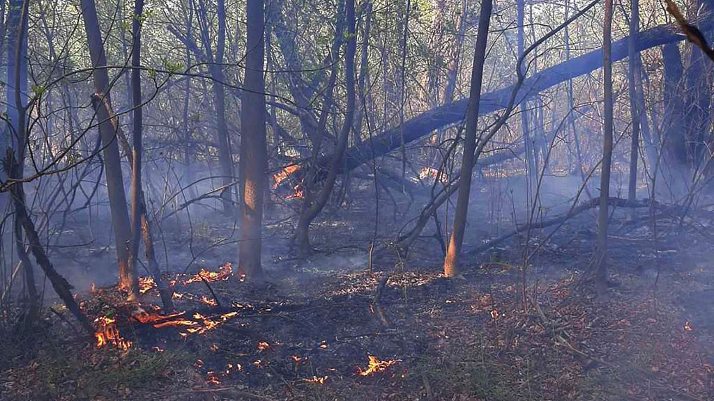 За минулу добу вогнеборці ліквідували 3 пожежі на відкритій території