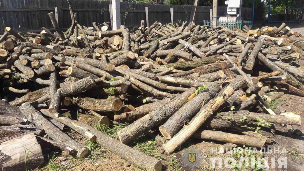Житель Чутівського району незаконно напиляв 30 кубометрів деревини