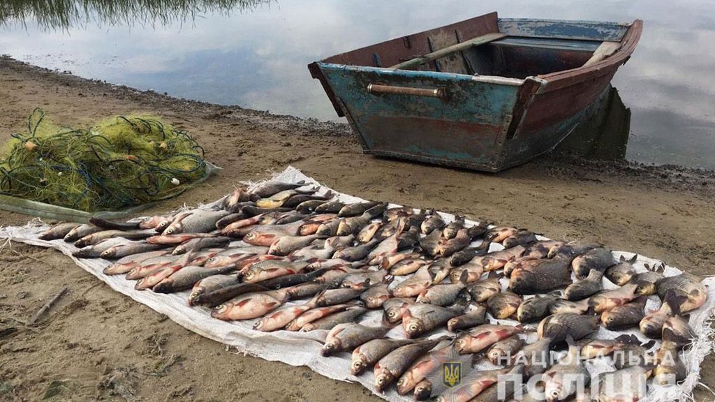 Браконьєр на Кременчуцькому водосховищі наловив 17 кілограмів риби