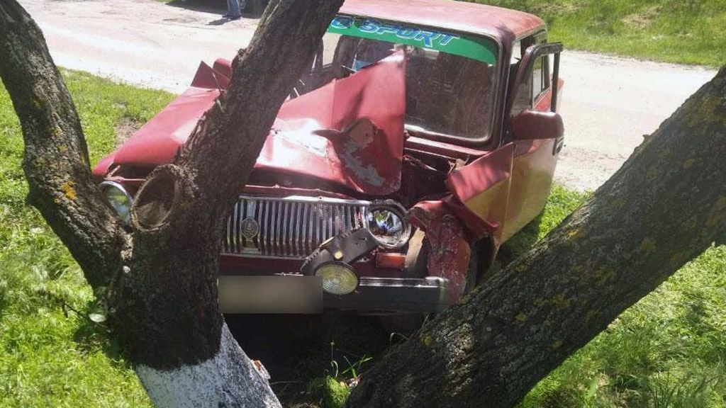 У Шишацькому районі автомобіль врізався у дерево