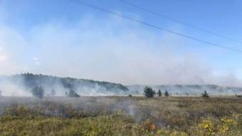 У Котелевському районі вогнеборці загасили лісову пожежу
