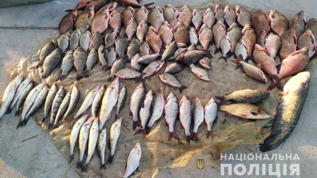У Кобеляцькому районі поліція викрила браконьєрів, які виловили майже 70 кілограмів риби 