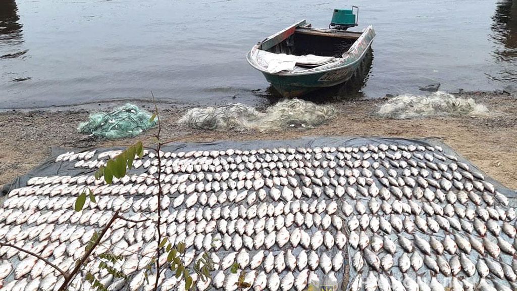 На Полтавщині водні поліцейські виявили рибалку, який незаконно виловив риби на суму близько 45 тисяч гривень