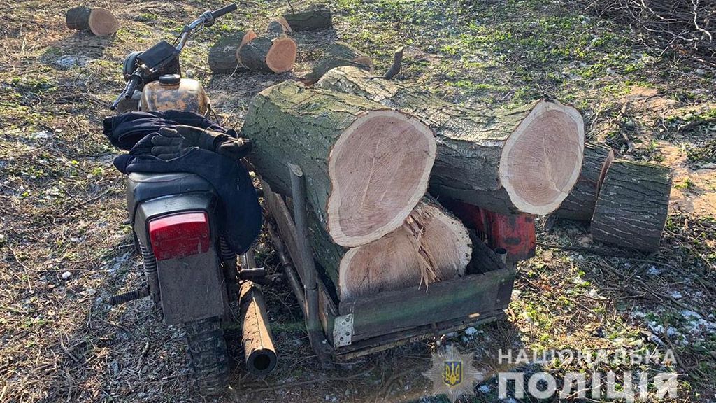 У Глобинському районі викрили незаконних лісорубів