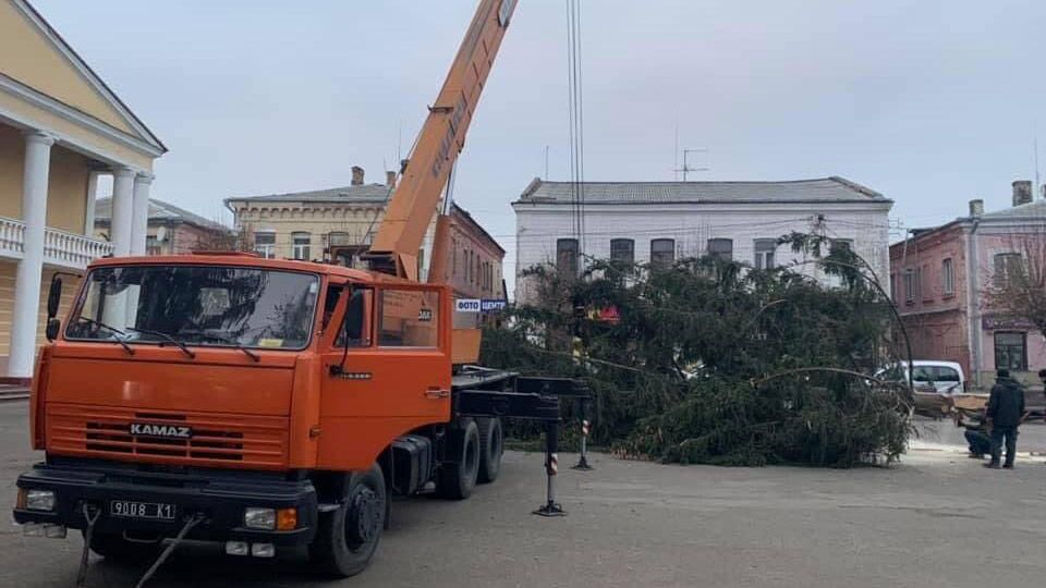 Новорічна ялинка з цвинтаря