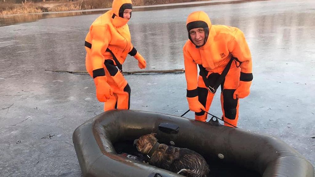 Полтавські рятувальники витягли із крижаної води цуценя, що провалилося під лід