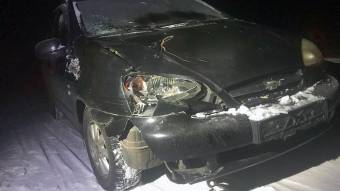 У Оржицькому районі автомобіль збив пішохода