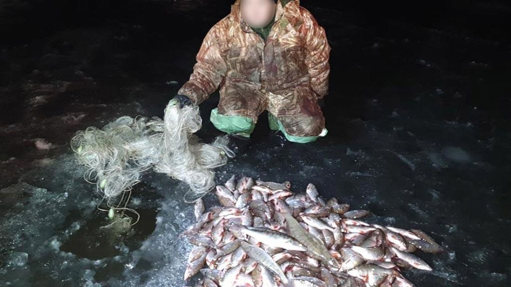 У Кременчуцькому водосховищі браконьєр наловив риби на 20 тисяч гривень