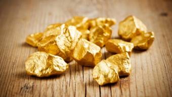Бактерія, що перетворює метал у золото