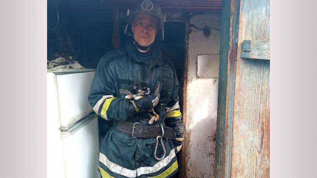 Рятувальники загасили пожежу і врятували цуценя