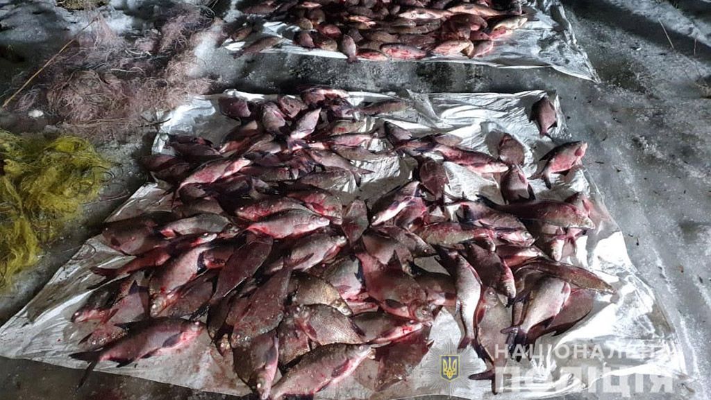 На Глобинщині упіймали браконьєрів з 200 кілограмами риби