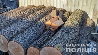 Поліцейські Полтавщини викрили та припинили незаконну порубку дерев у Лютенській громаді