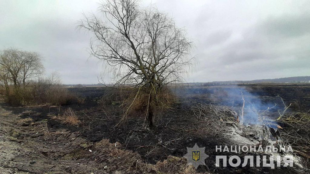 На Полтавщині поліція відкрила кримінальне провадження за фактом пожежі на луках