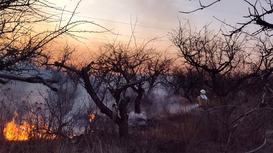 За добу вогнеборці загасили 54 пожежі на відкритій території