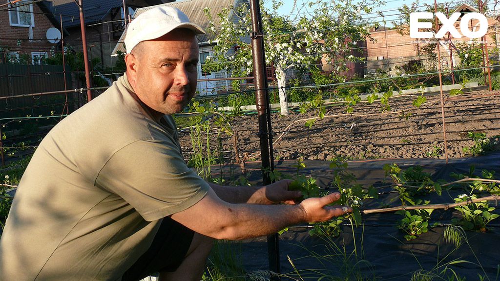 Дмитро Омеляненко радить  надавати винограду «щолбанів»