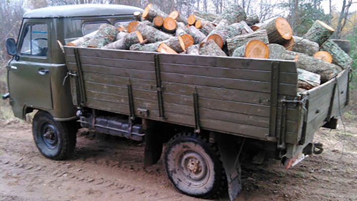 Підприємця оштрафували за спробу викрасти незаконно порубані дерева