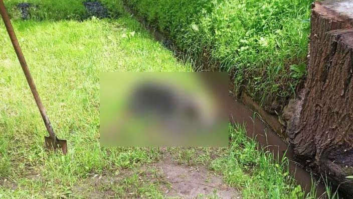 У Полтаві з ливневої каналізації виловили рештки тіла чоловіка