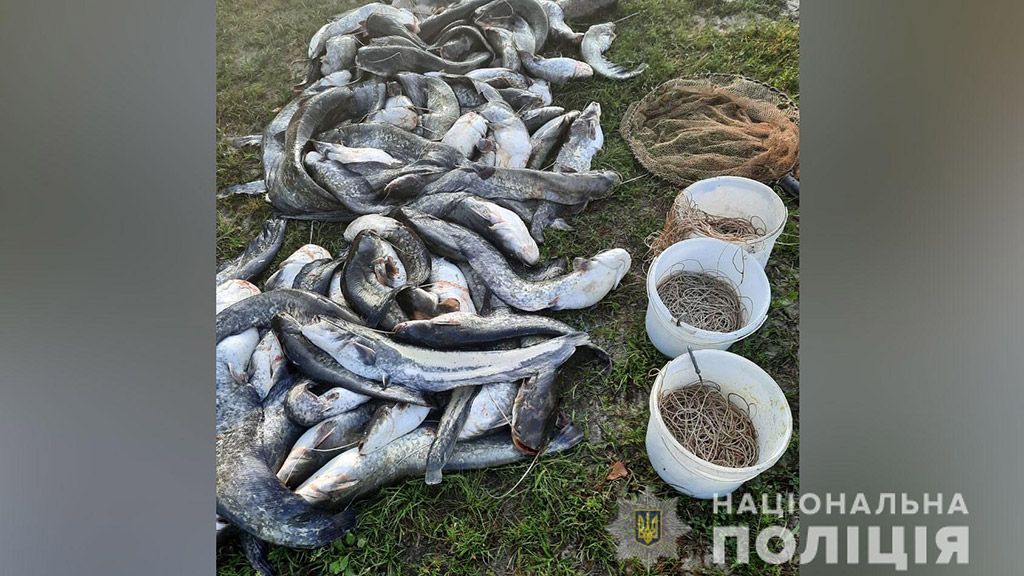 На Кам’янському водосховищі упіймали браконьєра з 120 кілограмами риби