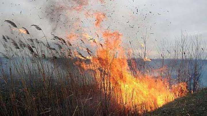 Майже на всій території Полтавщини встановлений 5 клас пожежної небезпеки
