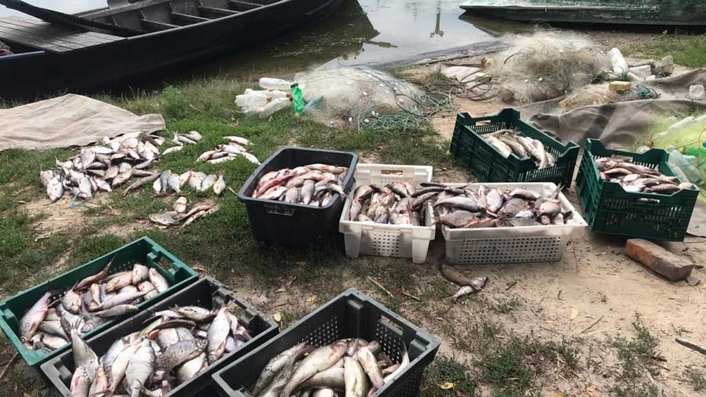 На Кобеляччині упіймали браконьєрів з рибою більше ніж на 300 тисяч гривень