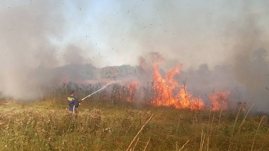 За минулу добу вогнеборці ліквідували 16 пожеж на відкритій території
