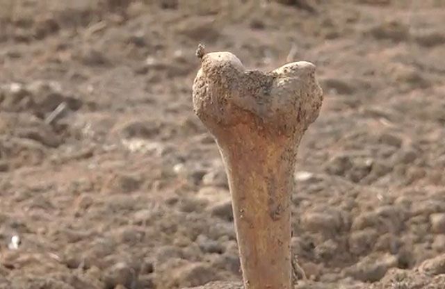 На Полтавщині під час ремонту виявили  фрагменти кісток людини