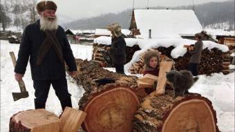 Готуємось до зими:  де придбати дрова та яка їх вартість