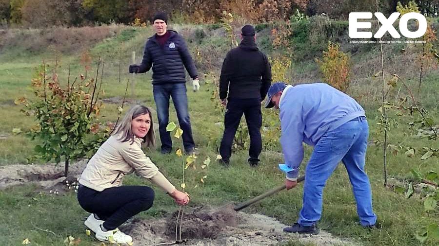 У Новосанжарській громаді висадили близько 10 000 дерев