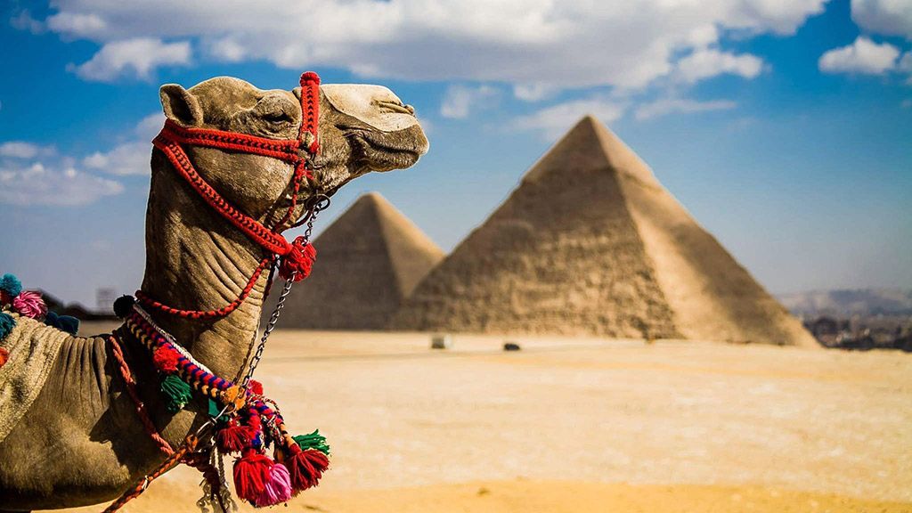 Отдых в Египте зимой: как выбрать курорт для незабываемых африканских каникул