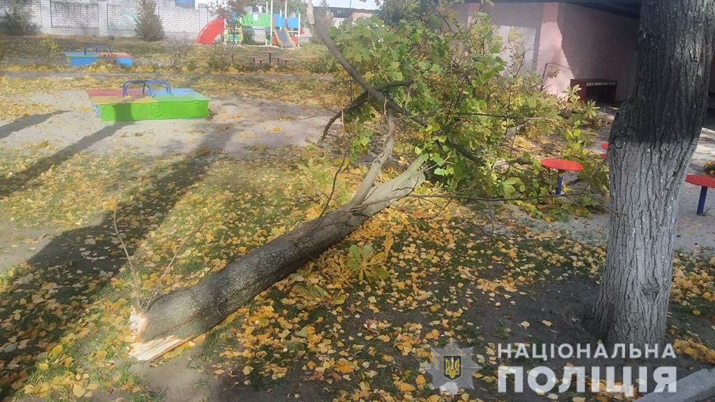 У Кременчуці у дитячому садочку на двох дітей впало дерево