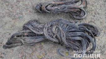 У Миргородському районі чоловік зі стовпів зняв 100 метрів кабелю