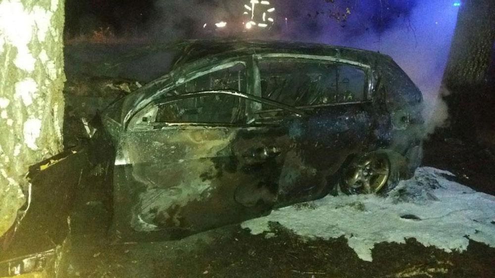 На Миргородщині автомобіль врізався у дерево – водій загинув
