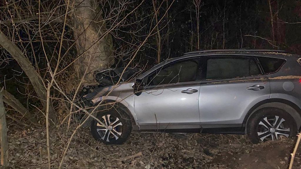 У Кременчуцькому районі неповнолітня дівчина, керуючи автомобілем Toyota RAV4, врізалась у дерево