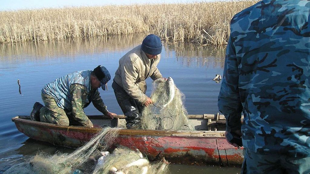 Браконьєра засудили через півтора року після складення протоколу