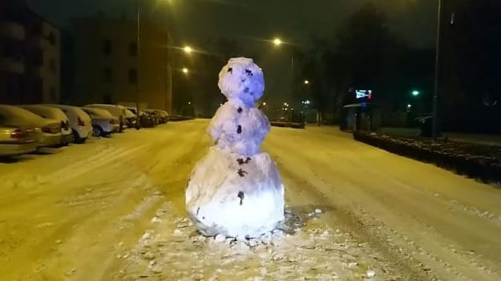 У Польщі поліцію викликали через сніговика