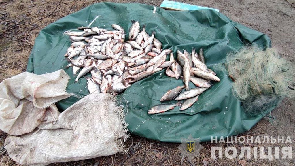 У Кремечуцькому районі браконьєр наловив риби на 240 тисяч гривень