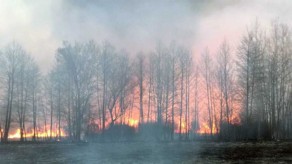 За спалювання сухої трави сімох чоловіків відправлять копати траншеї