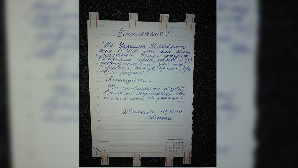 Росіяни закликали не годувати голубів