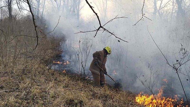 За добу рятувальникам Полтавщини прийшлося гасити 37 пожеж на відкритій території