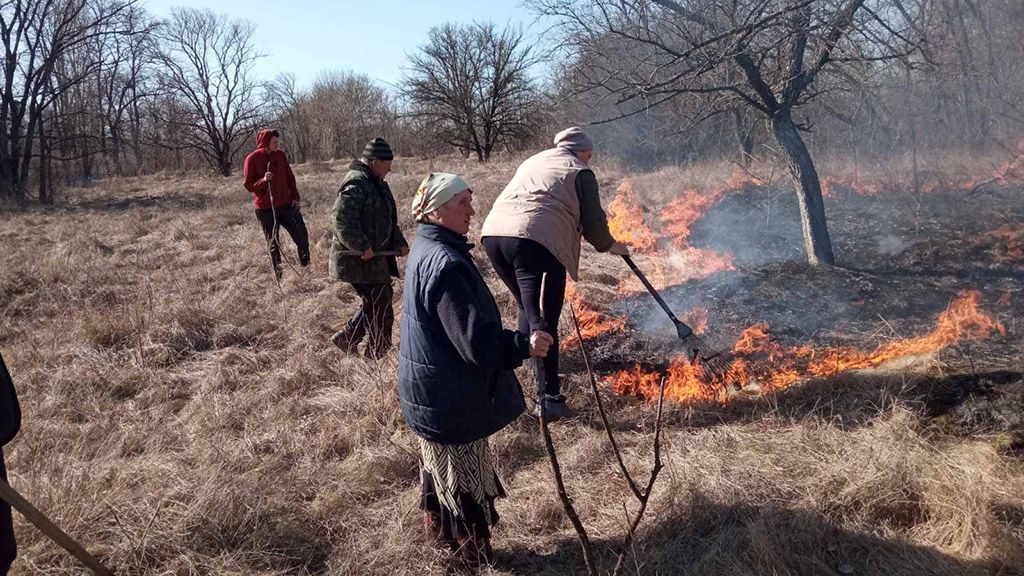 Пенсіонерку з Лівенського оштрафували  за підпал сухостою