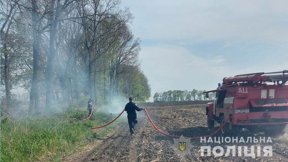 Поліція Полтавщини склала 117 адміністративних матеріалів за підпали рослинності