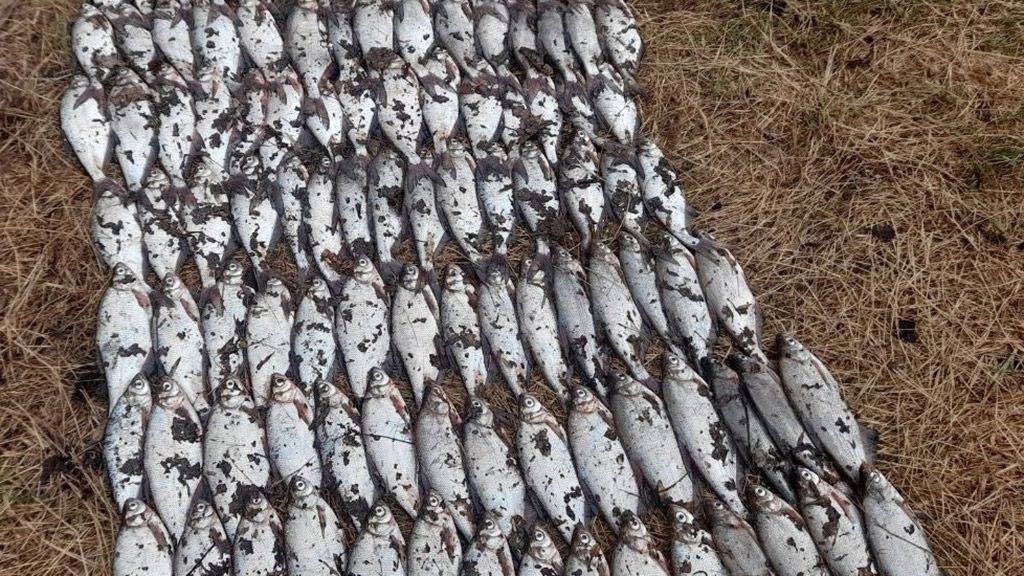 Жителя Лубенщини оштрафовано на 180 тисяч гривень за ловлю риби «павуком»